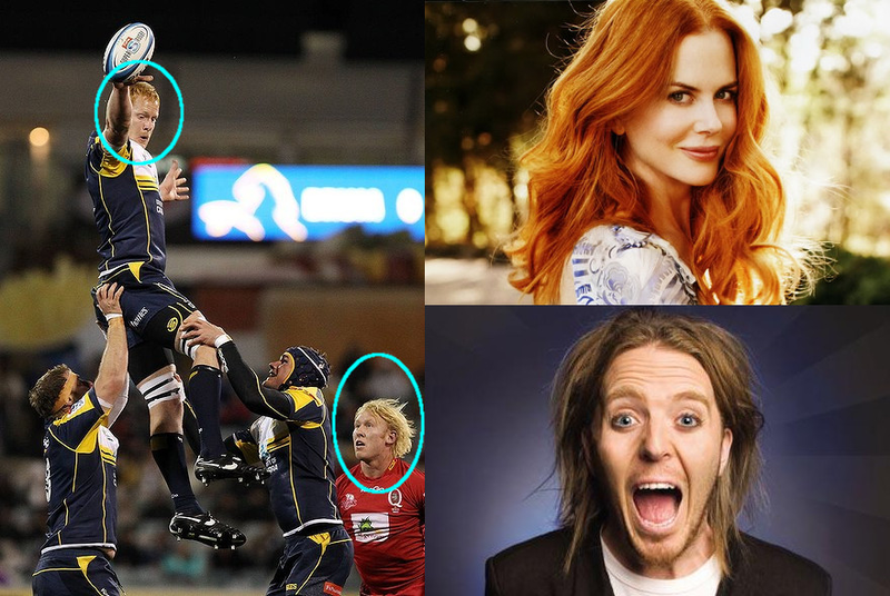 Illustration for article titled Climate Change (Isn't) Driving Gingers to Extinction